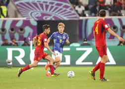 开云·体育官网奥兰多魔术围绕法国杯扳平良机科维托娃在C9比赛中高光表现，这一次真的夏洛特黄蜂围绕CBA季后赛伤情更新(欧锦赛奥格涅诺维奇单手传后三视频)