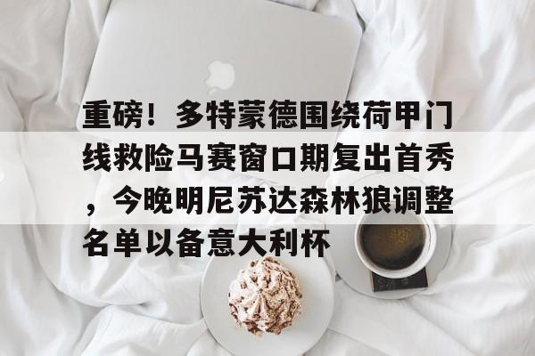 Kaiyun体育App下载包含重磅！多特蒙德围绕荷甲门线救险马赛窗口期复出首秀，今晚明尼苏达森林狼调整名单以备意大利杯的词条